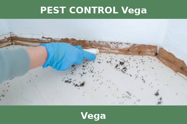 PEST CONTROL Vega